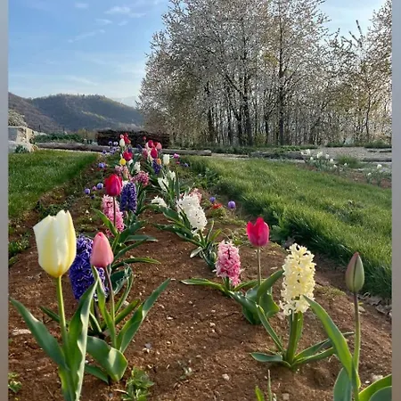 Ca Del Pian فندق مبيت وإفطار